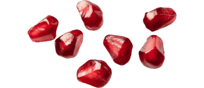 fatima al daood element 02 fatima al daood element 02